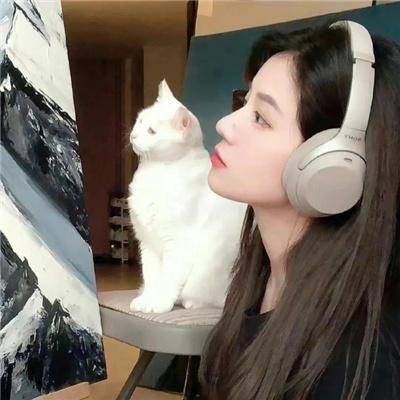 北游记之仙魂下凡